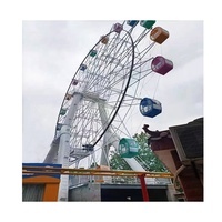 Attractions foraines Carnaval Manèges Parc D'attractions Manèges Offre Spéciale 38m petite roue Pour La vente
