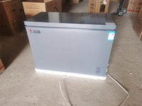 Congélateur Commercial Horizontal Grande Capacité 330L, Congélateur de Haute Qualité Adapté à la Congélation d'Ingrédients
