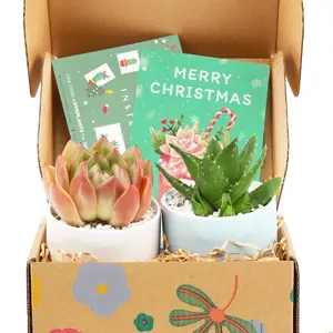 Kit di <span class=keywords><strong>piante</strong></span> <span class=keywords><strong>grasse</strong></span> e <span class=keywords><strong>cactus</strong></span> regalo kit per piantare al coperto - Product Image 1