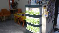 Tour de culture hydroponique d'intérieur pour ferme, système hydroponique automatique, jardin vertical, mini-aéroponique domestique, lumière LED intelligente