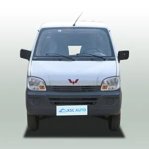 Cheapest 2024 In China Top Selling Left Van 2 Seat Battery Life 261Km Wuling Ev50 Ev Car Van In Stock