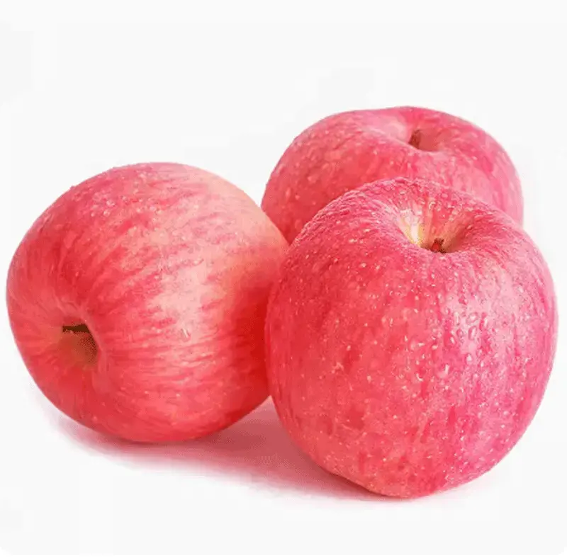 תפוחי פוג'י טעימים אדומים, תפוח פוג'י שאנדונג ינטאי פנגלאי