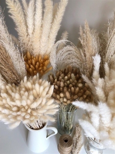 2025yearsNatural Factory Price Various Colors Decorative <strong>Flowers</strong> Natural Large Tall Big <strong>Mini</strong> Small Pampas <strong>Dried</strong> Flowbest Quality - Product Image 6