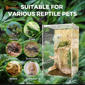 Camaleonti trasparenti personalizzati gabbia per mantide in acrilico coperchio scorrevole serbatoio tartaruga serpenti recinto Habitat per custode di creature - Product Image 2
