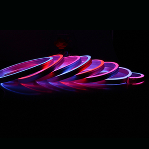 Dành Cho Nhà Phân Phối Và Bán Sỉ Sản Phẩm Bán Chạy Nhất Gói 5M 10X20Mm Pixel RGB IP68 Dải Đèn LED Neon Flex - Product Image 5