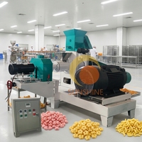 Machine extrudeuse automatique de snacks pour la production de chips de maïs soufflé Kurkure