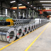 Bobina de Acero Galvanizado de Primera Calidad ASTM A653 0.14mm 2.5mm 600mm 1500mm S220gd S350gd Bobina en Tira Lámina GI