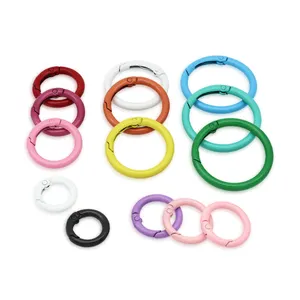 Yn Verf Spring Gate O Ringen Te Openen Sleutelhanger Lederen Tas Riem Hond Gespen Snap Sluiting Clip Trigger Diy Accessoires