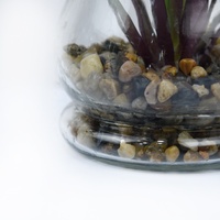 Plante succulente artificielle bohème créative en pot de verre, décoration pour bureau et mur, utilisation en intérieur