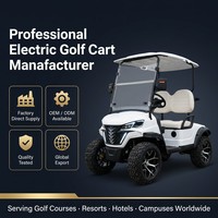 Carrito de Golf Eléctrico para 2 Personas, Motor Asíncrono de CA de 4kW, Freno Hidráulico de Doble Circuito de 60V, Suspensión MacPherson, Neumáticos Todoterreno