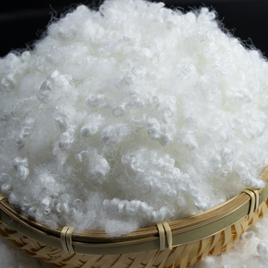 Fibre de polyester vierge 15D creuse, non silicinée - Product Image 3