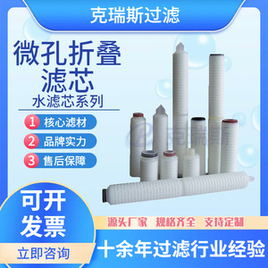 Cartouche filtrante plissée microporeuse Chris 10 pouces PTFE hydrophile pour le traitement de l'eau et les produits pharmaceutiques - Product Image 5
