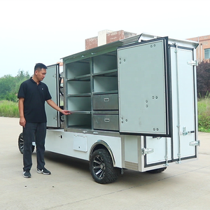 Shininglsv 중국 스테인레스 스틸 전기 골프 카트 가사 식품 공급 기타 목적을위한 버기 - Product Image 5