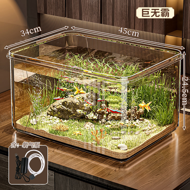 Acquario gigante + pompa di ossigeno