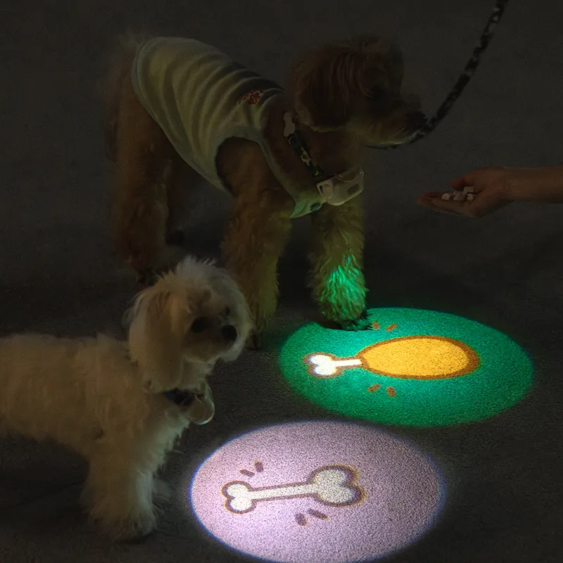 Accesorios para perros MewooFun, accesorios para mascotas, luz Led intermitente para perros, luz de senderismo, etiqueta ligera para perros