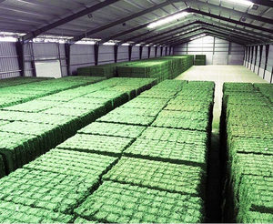 Premium Supreme Timothy Alfalfa Hay High-Protein Feed for Animals <b>Fish</b> Cattle Pig Horse & Pet <b>Food</b>-T&H Brand USA Origin - Product Image 3