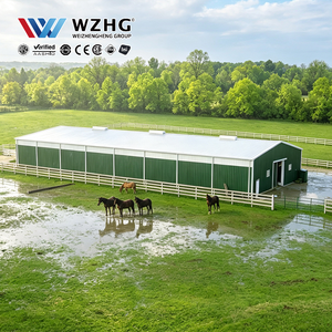 Manège d'équitation en acier préfabriqué avec une grande portée et un support technique professionnel - Product Image 1