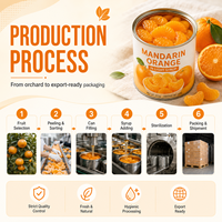 Jeruk Mandarin Kaleng 850g dalam Sirup Ringan Segmen Utuh OEM Label Kustom Ukuran Kustom Produsen Grosir