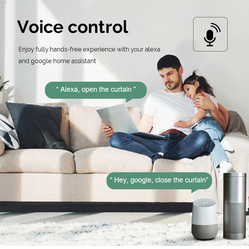 double curtain switch zigbee