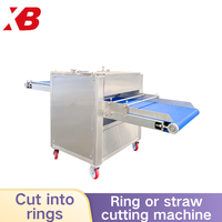 Machine à découper les morceaux de calmar XBF-002, alimentation fluide sans bourrages, pour l'usine de transformation de la pêche du Myanmar
