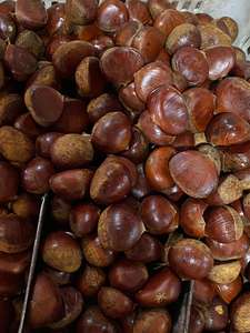 Approvisionnement d'usine de châtaignes chinoises fraîches pelées et rôties de marque Sinofarm en provenance de Chine <span class=keywords><strong>au</strong></span> <span class=keywords><strong>prix</strong></span> de gros pour importation - Product Image 3