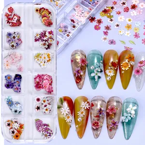 12 Rejillas de Adornos de Uñas con Flores 3D Coloridas, Ultrafinas, de Resina y Pulpa de Madera, Pequeñas Margaritas, Accesorios de Decoración para Manicura DIY - Product Image 3