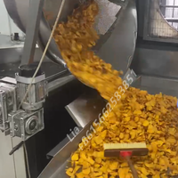Machine à Frire les Chips de Pommes de Terre, les Frites et les Chin Chin (50-100 kg) - Prix Usine - Certifiée CE ISO 9001