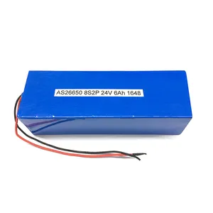 IEC62133/UN38.3 26650 8S2P 24V 6Ah Nhỏ Lifepo4 Battery Pack Cho Trolling Động Cơ/Xe Tải
