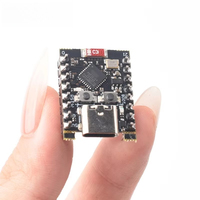 Papan Pengembangan ESP32-C3 SuperMini dengan WiFi