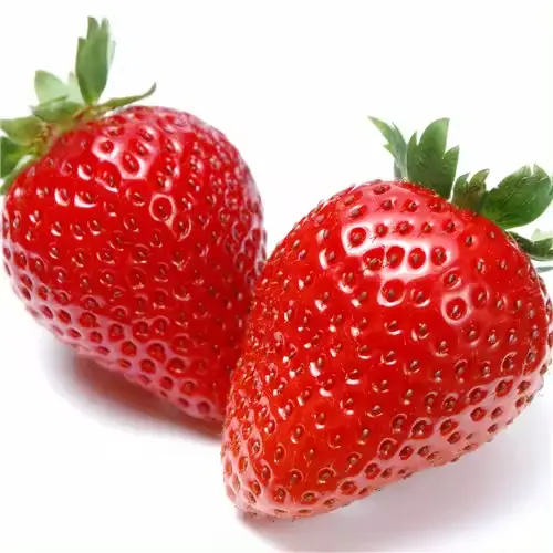 Fabricant personnalisé Fruits sains biologiques Sans additifs Fraises fraîches disponibles Produits surgelés