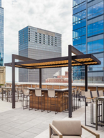 Pergola en aluminium brossé argenté avec pare-soleil extérieur à montage latéral pour rangée de fenêtres, option à lamelles rétractables