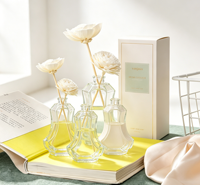 Bouteille vide personnalisable pour huiles essentielles, diffuseur en verre, bouteille vide transparente avec bouchon pour diffuseur de parfum d'ambiance à bâtonnets