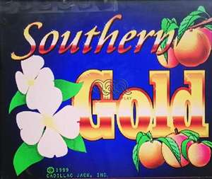 1 में <span class=keywords><strong>2</strong></span> फोक्स 340s गोल्ड टच दक्षिणी गोल्ड pcb आर्केड बोर्ड कार्यक्रम बिक्री के लिए स्विचबल गेमिंग मेनबोर्ड - Product Image 6