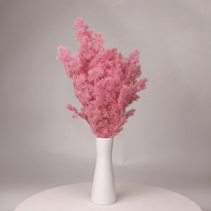 Venta al por mayor de fábrica: Aspargos <span class=keywords><strong>naturales</strong></span> Myrioeladus, plantas secas y preservadas, pino para decoración del hogar, arreglos florales, a granel. - Product Image 3
