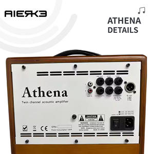 AIERKE Acoustic Bay EWAVE <span class=keywords><strong>ampli</strong></span> guitare bakélite acoustique scène extérieure road show jouer et chanter haute puissance ATHENA - Product Image 4