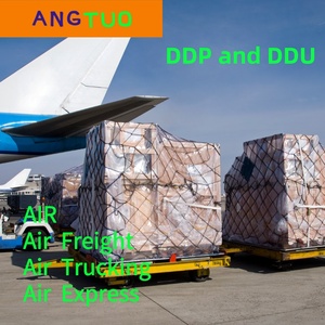 Serviço Profissional de Transporte Marítimo DDP Porta a Porta da China para EUA e Canadá para Soluções Logísticas de Baterias Líquidas - Product Image 5