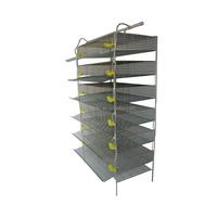 TUOYUN vente en gros cages à cailles de type H pour la production d'œufs