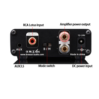 100W Mono Subwoofer merkezi amplifikatör küçük tam kapsamlı Amplificador AV ev sineması Mini ses ekipmanı amplifikatörler hoparlör