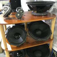 Altavoz Line Array Activo TP218 Pro de 1600W de Alta Potencia, con Caja de Madera Contrachapada de 18 Pulgadas, para Escenarios, KTV, con Bajos Potentes, Color Negro, Pico de 6400W