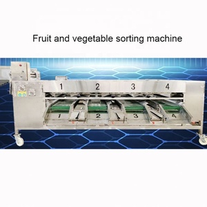 Machine de tri industrielle 1-3T/H pour fruits de <span class=keywords><strong>cactus</strong></span>/avocats, machine de lavage de légumes, ligne de lavage et de séchage de fruits et légumes - Product Image 5