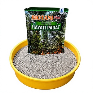Engrais organique en poudre à libération lente Biotani Plus pour les plantations d'huiles essentielles - Product Image 3