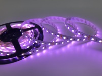 Bande LED RGBW SMD5050 personnalisée 60 LED/m DC24V 19.2W, ruban lumineux souple 10mm PCB pour bars, façades, meubles et commerce de détail