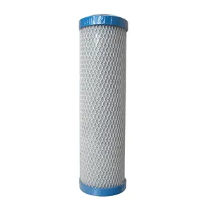 10 Inch Sl Koolstofblok Waterfilter Bacteriostatische Nano Zilveren Technologie Voor Waterfilterpatroon