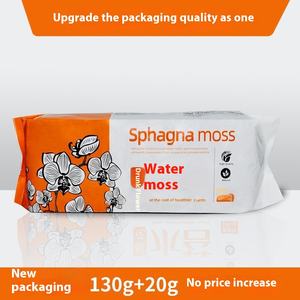 Orchidée de mousse Phalaenopsis séchée fraîche Dendrobium plante mangeuse d'insectes sol spécial pour Noël Thanksgiving Halloween - Product Image 6