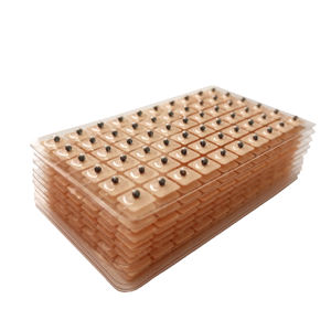 600 pièces (WangBuLiu) autocollants auriculaires <span class=keywords><strong>de</strong></span> stimulation <span class=keywords><strong>de</strong></span> pression d'acupoint graines <span class=keywords><strong>de</strong></span> <span class=keywords><strong>vaccaria</strong></span> - Product Image 3