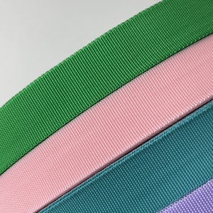 <span class=keywords><strong>Prix</strong></span> d'usine – Nouvelle bordure en polypropylène tissé uni de marque PP avec <span class=keywords><strong>carte</strong></span> de couleurs Pantone pour accessoires de bagages - Product Image 3