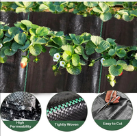 Nouveau design de tissu de paysage de qualité supérieure moule de service de traitement de coupe UV tapis de contrôle des mauvaises herbes en plastique PP de haute qualité