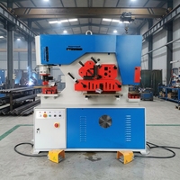 Machine de découpe et de poinçonnage hydraulique multifonctionnelle de précision, machine intégrée de découpe de profilés et de poinçonnage