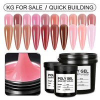 CX Beauty Extend Gel Gel Acrylique Pour Ongles Offre Spéciale Professionnel Poly Extend Gel