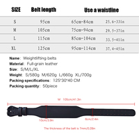 Ceinture d'haltérophilie pour hommes et femmes-Ceinture de gymnastique pour squats, Deadlift, ceinture d'entraînement de soutien du dos pour la dynamophilie